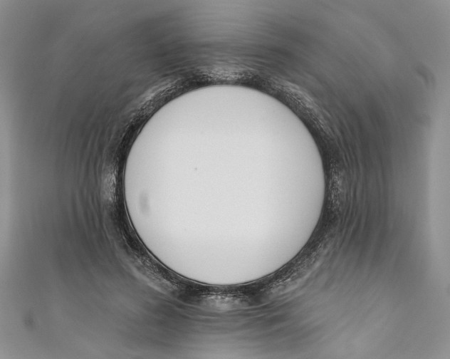 X0000110900596200907091417