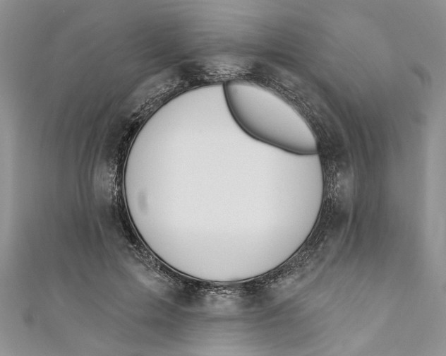 X0000110900599200907091417