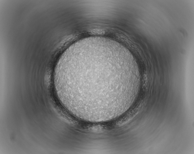 X0000110900600200907091417