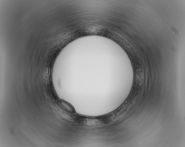 X0000110900605200907091417