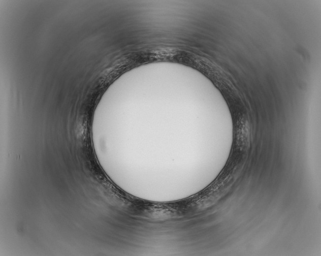 X0000110900608200907091417