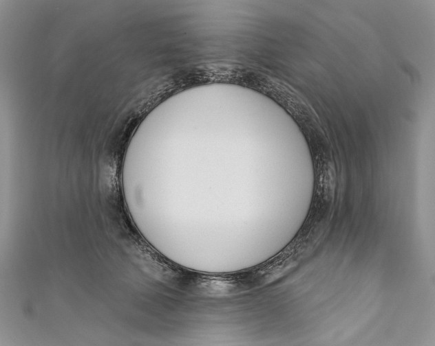 X0000110900610200907091417