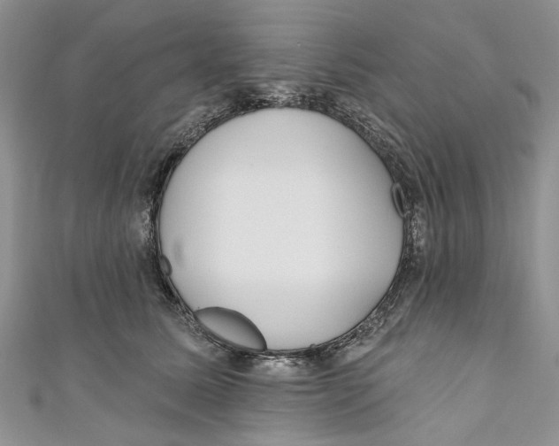 X0000110900611200907091417