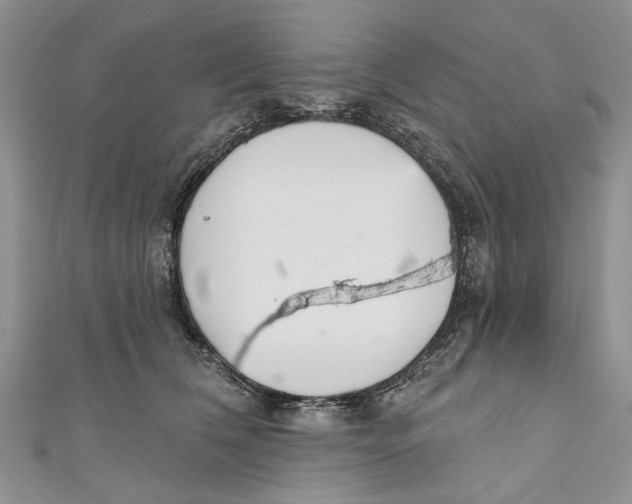 X0000110900612200907091417