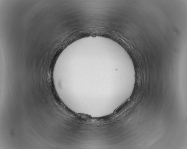 X0000110900613200907091417