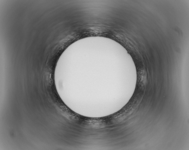 X0000110900615200907091417