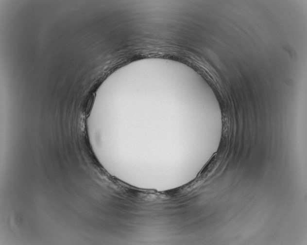 X0000110900621200907091417