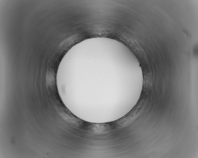 X0000110900623200907091417