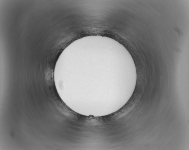 X0000110900624200907091417