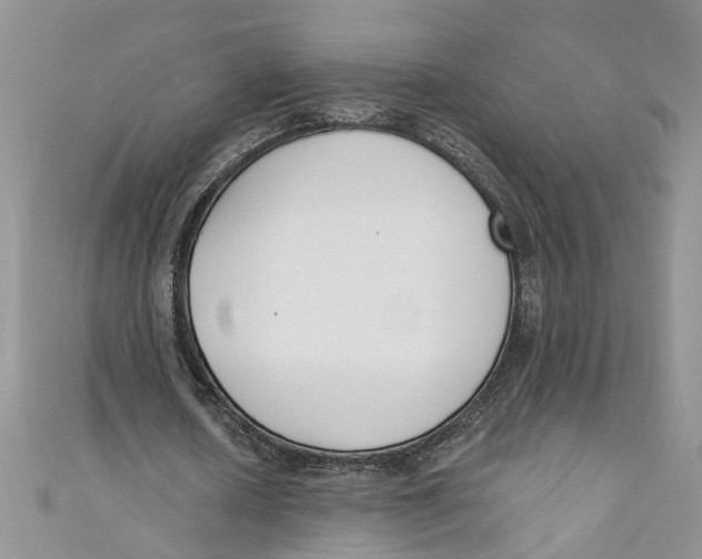 X0000110900626200907091416