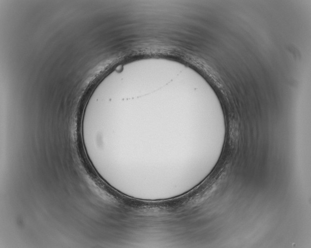 X0000110900629200907091416