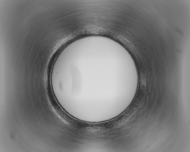 X0000110900630200907091416