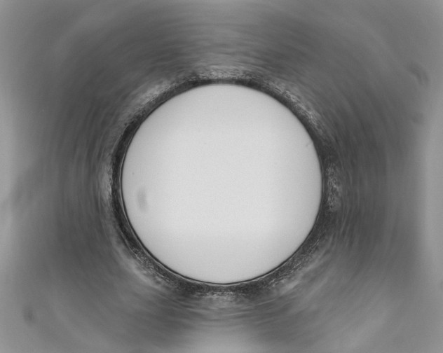 X0000110900631200907091416