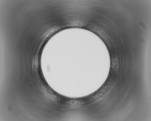 X0000110900632200907091416