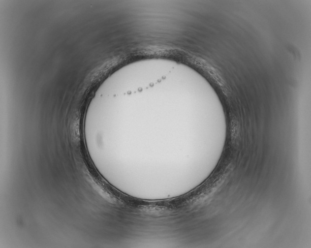 X0000110900633200907091416