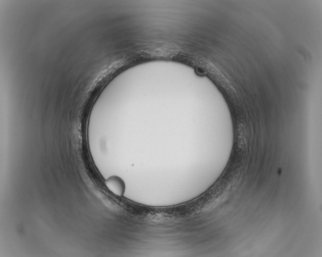 X0000110900634200907091416