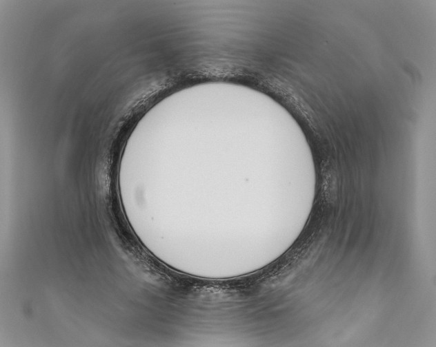 X0000110900635200907091416