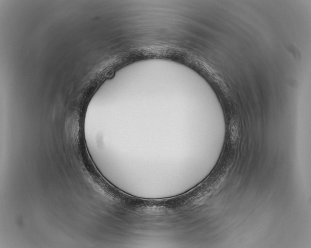 X0000110900637200907091416