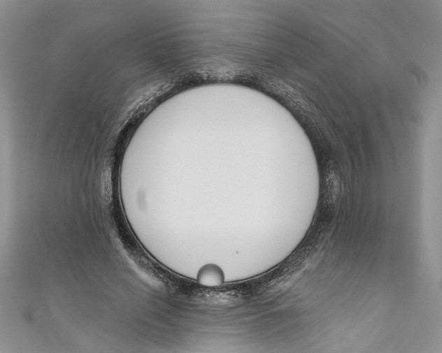 X0000110900638200907091416