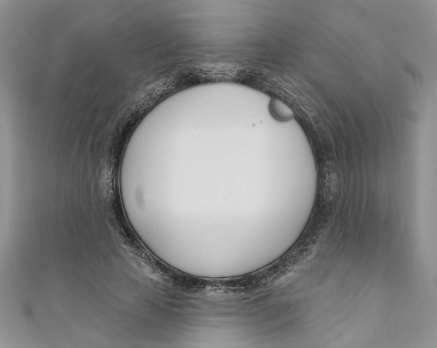 X0000110900641200907091416