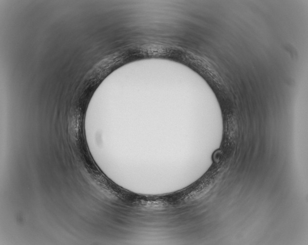 X0000110900645200907091416