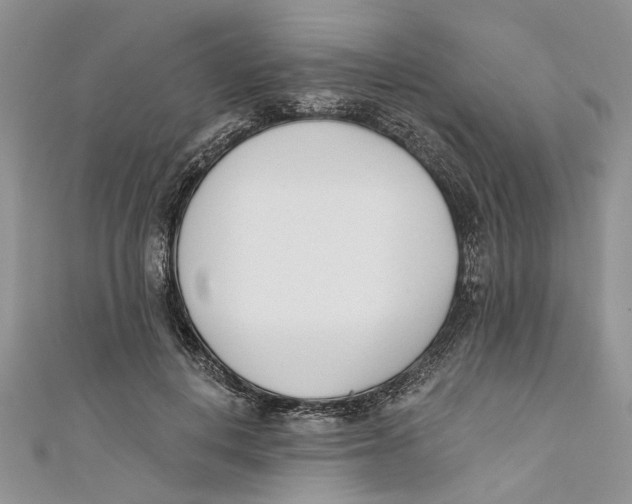 X0000110900648200907091417