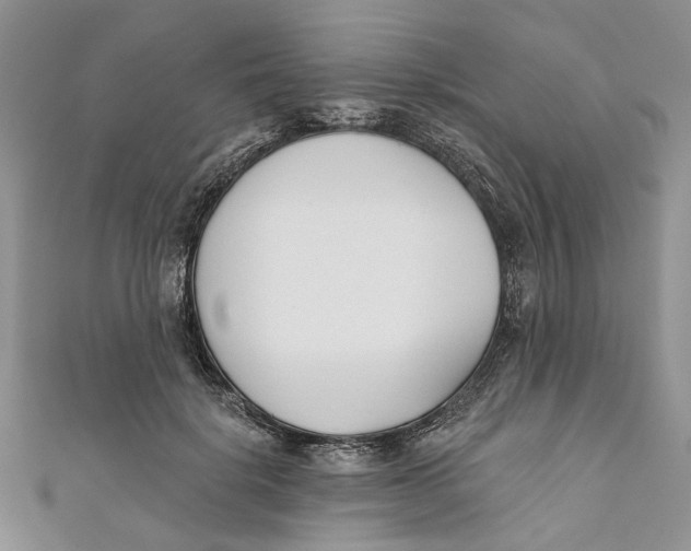 X0000110900652200907091417