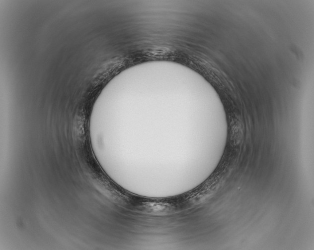 X0000110900654200907091417