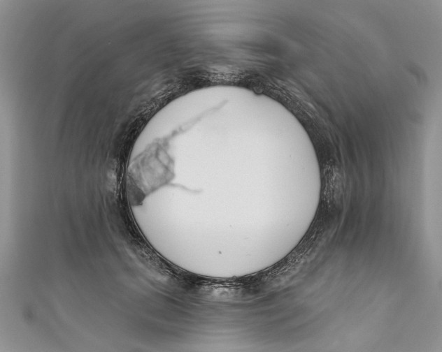 X0000110900655200907091417