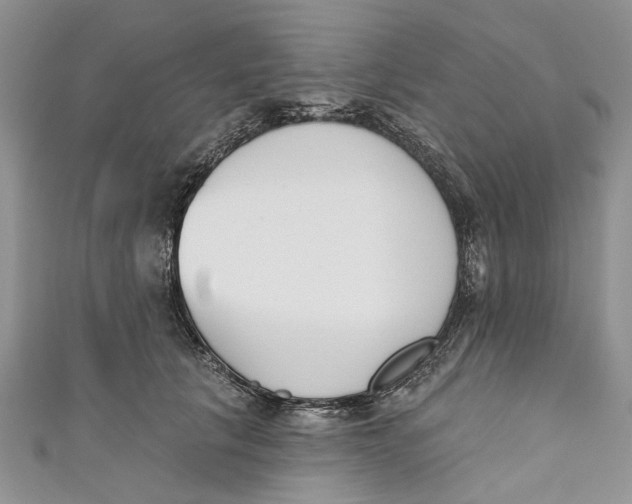 X0000110900657200907091417