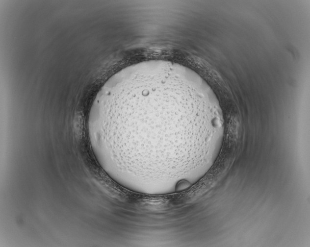 X0000110900659200907091417