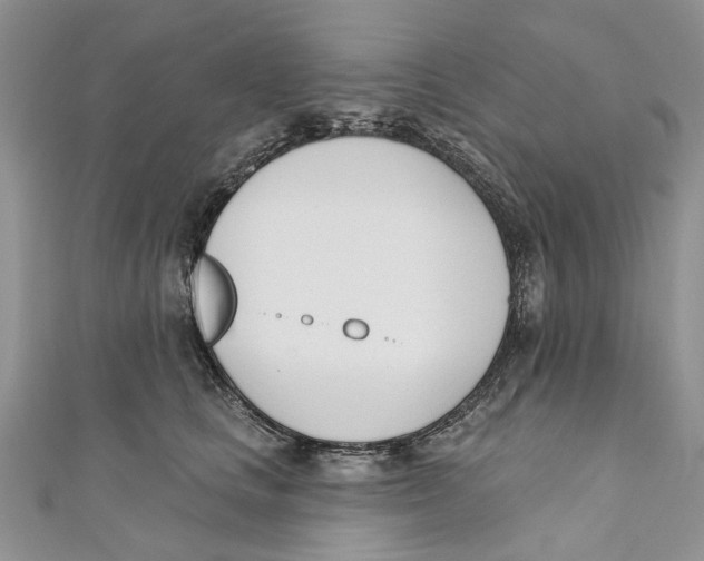 X0000110900661200907091417