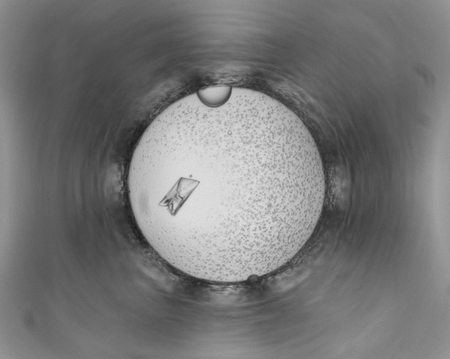 X0000110900667200907091417