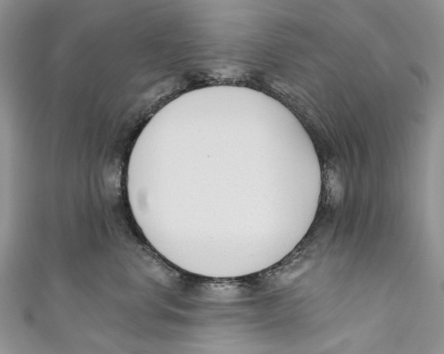 X0000110900668200907091417