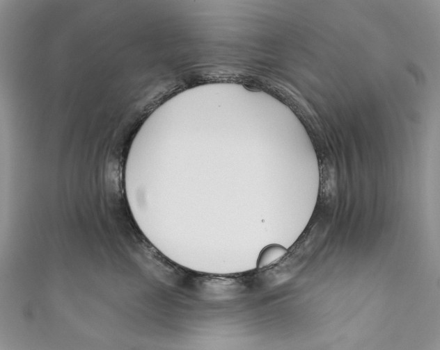 X0000110900669200907091417