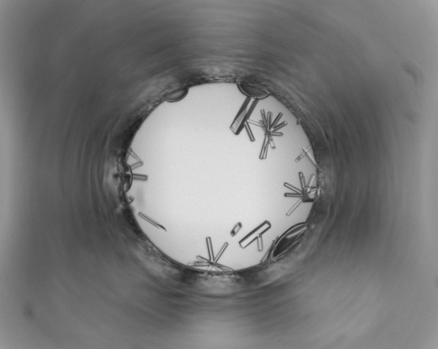 X0000110900671200907091417