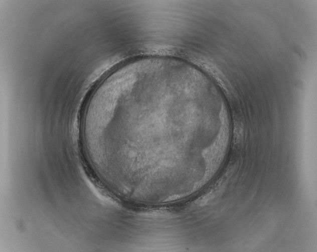 X0000110900674200907091416