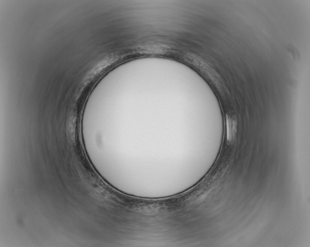 X0000110900675200907091416