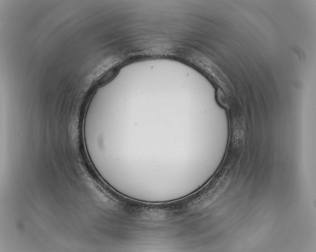 X0000110900677200907091416