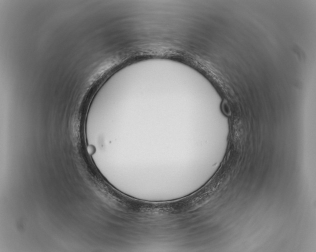 X0000110900679200907091416