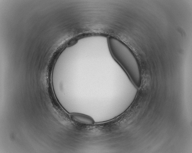 X0000110900680200907091416