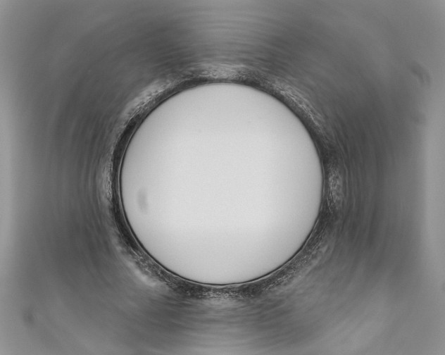 X0000110900682200907091416