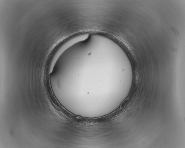 X0000110900684200907091416