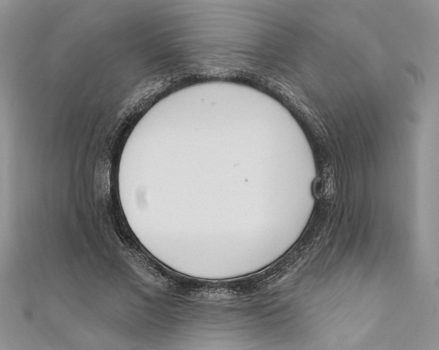 X0000110900685200907091416