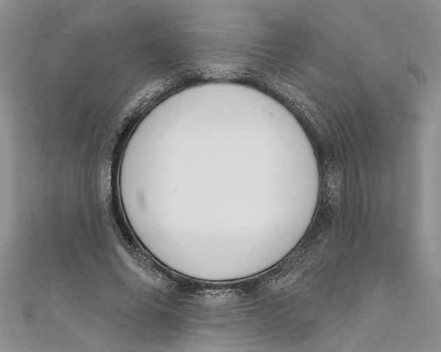 X0000110900686200907091416