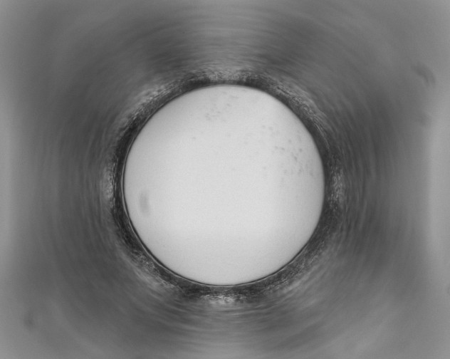 X0000110900687200907091416