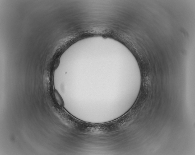 X0000110900688200907091416