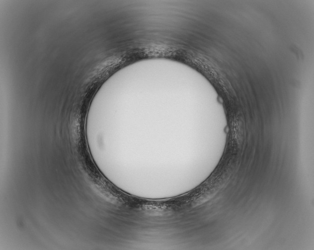 X0000110900690200907091416