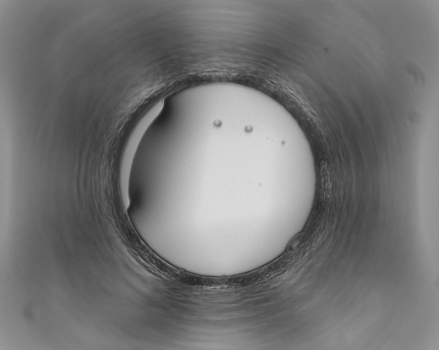 X0000110900692200907091416