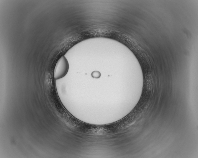 X0000110900695200907091416